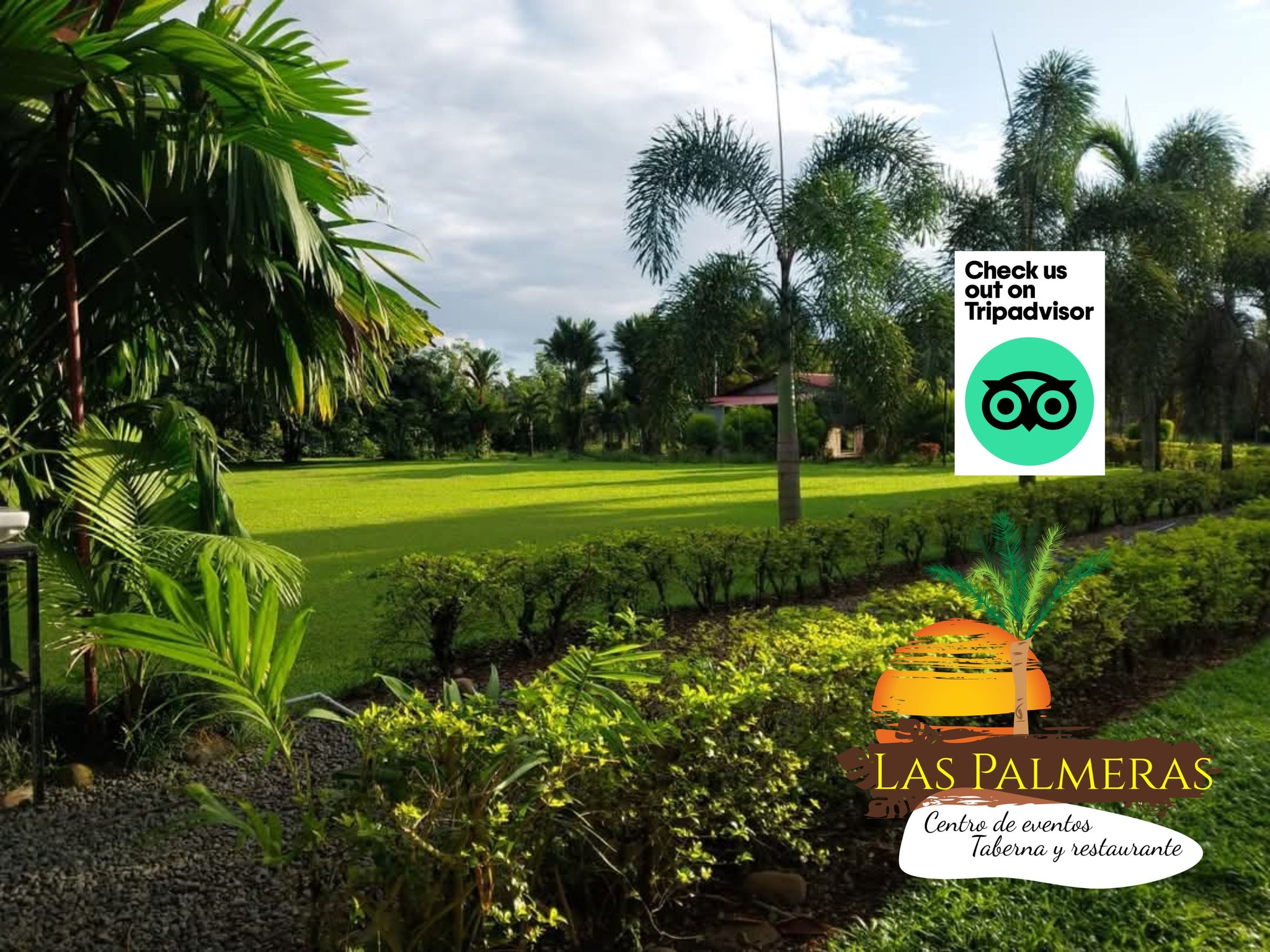 CENTRO DE EVENTOS TABERNA Y RESTAURANTE LAS PALMERAS